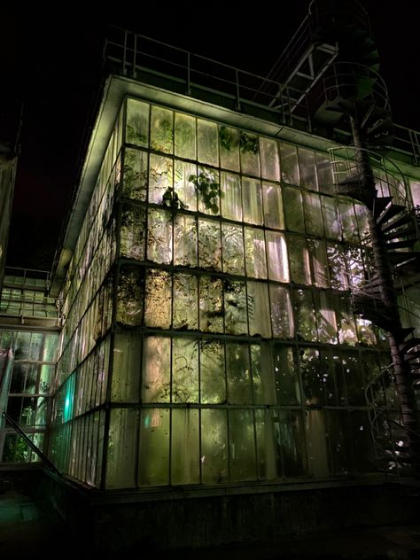 Halloween. Scary Night at Meise botanical garden Creepy Greenhouse, In The Night Garden Aesthetic, Greenhouse At Night, Eco Goth Aesthetic, Scary Architecture, Dark Botanical Aesthetic, Botanical Goth, Botanical Gothic, Eco Goth