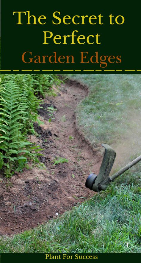 Front Yard Landscape Edging, No Border Landscaping, Patio Border Ideas Landscape Edging, Edging Around Concrete Patio, Easy Edging Ideas, Border Fences Garden Edging, Edged Flower Beds, Raised Garden Edging Ideas, Tropical Garden Edging