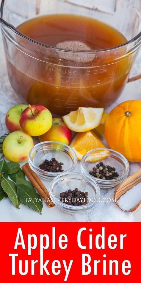 Apple Cider Turkey Brine (video) - Tatyanas Everyday Food Apple Cider Turkey Brine, Cider Turkey Brine, Apple Cider Turkey, Apple Cider Brined Turkey, Gravy Recipe No Drippings, Turkey Brine Recipe, Brine Recipes, Turkey Gravy From Drippings, Best Pecan Pie Recipe