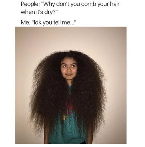 Messy Curly Hairstyles, Hair Meme, Curly Hair Problems, Hair Humor, Hair Problems, Girl Problems, Relatable Post Funny, Very Funny Pictures, Quick Jokes