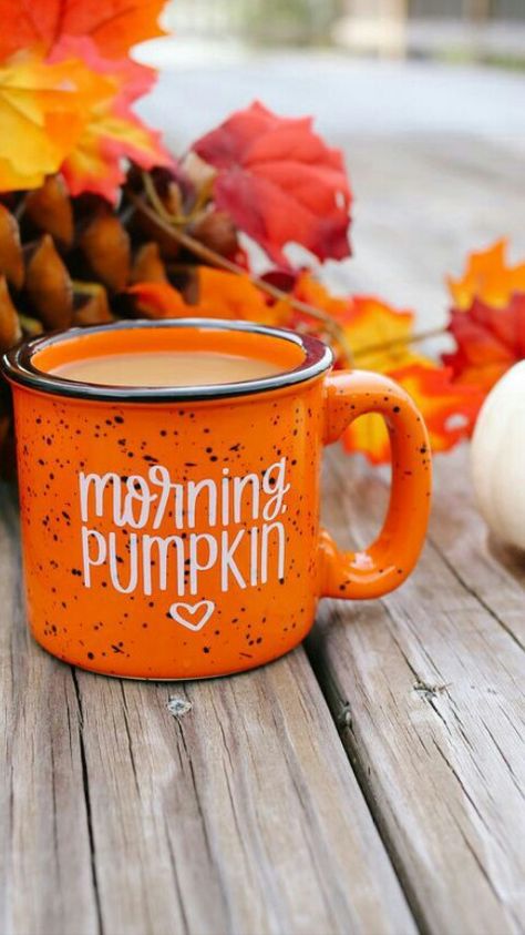 Morning, Pumpkin mug #autumn #fall Portret Feminin, Image Halloween, Pumpkin Mug, Fall Mood Board, To Autumn, Fall Photoshoot, Fall Feels, Fall Halloween Decor, Autumn Coffee