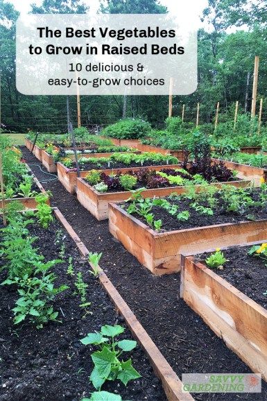 Raised Bed Garden Layout, Best Vegetables To Grow, Best Veggies, Raised Garden Beds Diy Vegetables, Garden Bed Layout, Best Vegetables, Vegetables To Grow, Vegetable Beds Raised, Raised Vegetable Gardens