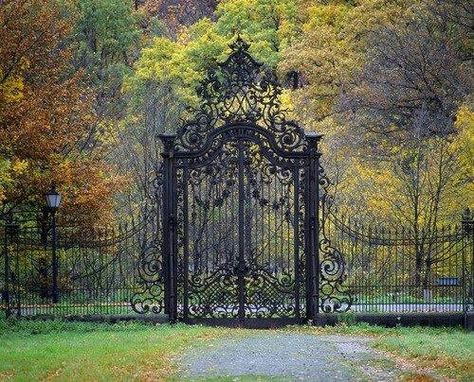 The old witches gate. Wrought Iron Gates, Iron Fence, Iron Work, Iron Gates, Fence Gate, Backyard Fences, Iron Gate, Garden Gate, Entrance Gates