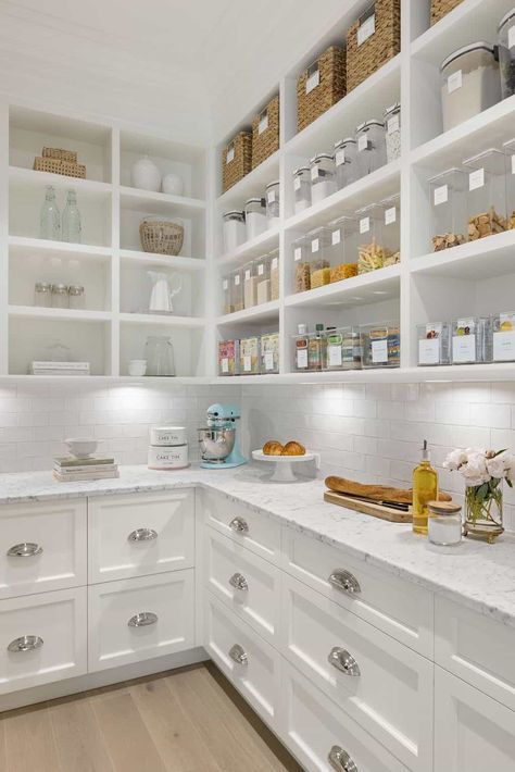 Pantry Closet Design, Traditional Style Home, House Pantry, Pantry Room, Butler’s Pantry, Pantry Remodel, Traditional Style Homes, Kitchen Pantry Design, Butler Pantry