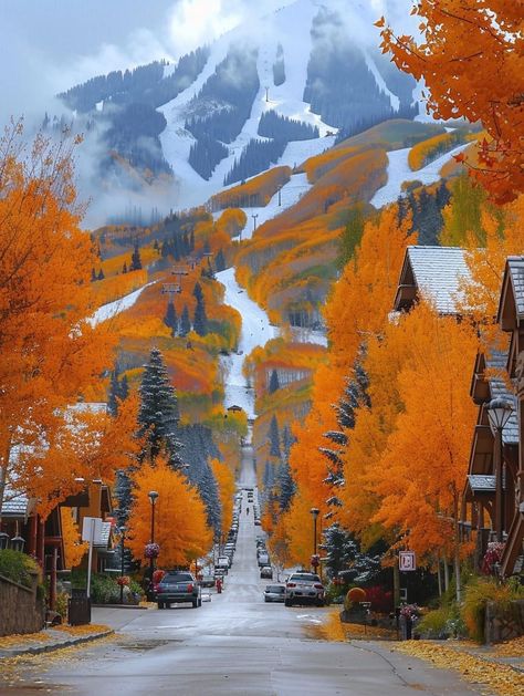 Aspen Colorado Winter, Colorado Aesthetic, Colorado Fall, Colorado Winter, Japan Garden, Leaf Peeping, Winter Images, Aspen Colorado, Autumn Scenery