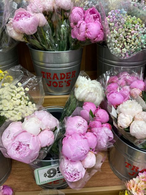 Trader joes peonies 🤍💗🩷 Trader Joe’s Flowers, Home Floral Arrangements, Boquette Flowers, Peonies Bouquet, Trader Joe’s, Trader Joe, Spring Home Decor, Trader Joes, Pink Peonies