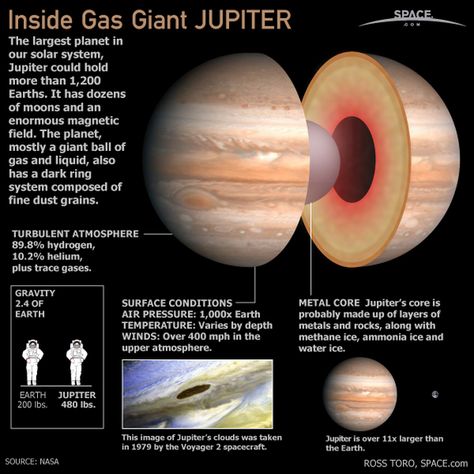 facts about jupiter | Jupiter is the largest planet in Earth’s solar system and has 63 ... Jupiter Planet, Astronomy Science, Planets And Moons, Space Facts, Gas Giant, Space Planets, The Planets, Earth From Space, Our Solar System