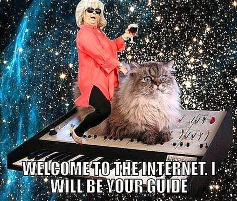 Welcome to the Internet Welcome To The Internet, First World Problems, Scary Places, Internet Memes, Space Cat, Funny Me, Lisa Simpson, Happy Life, I Laughed