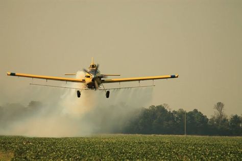 Crop Duster in the mississippi delta airplane, Gta V Aesthetic, Crop Duster Airplane, Delta Airplane, Greenville Mississippi, Crop Duster, Silent Spring, Know Your Place, Cry About It, Mississippi Delta