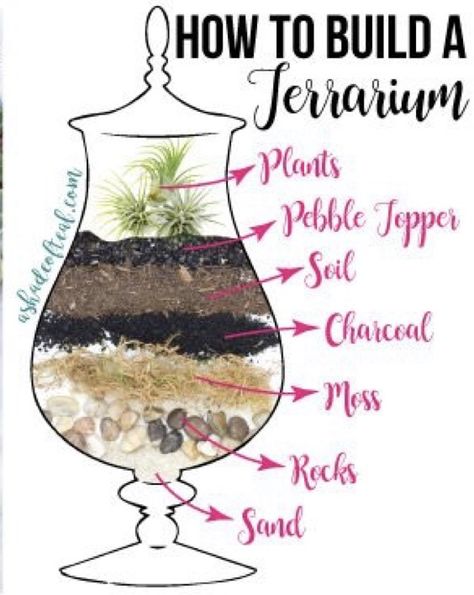 Plant Ideas Indoor, Best Terrarium Plants, Indoor Plant Ideas, Closed Terrarium Plants, Build A Terrarium, Diy Succulent Terrarium, Beautiful Terrariums, Succulent Garden Design, Mini Terrarium