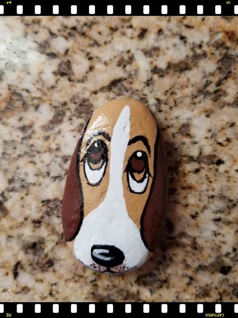 Puppy Painted Rocks, Rock Painting Dogs Ideas, Dog Rock Art Ideas, Dog Stone Art, Dachshund Rock Painting, Dog Stone Painting, Painted Rocks Dogs Easy, Rock Painting Dogs Easy, Rock Art Dog