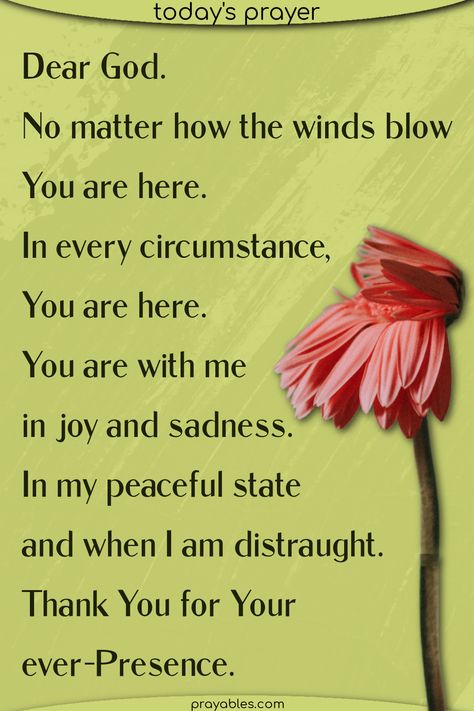 Dear God, no matter how the winds blow, You are here. In every circumstance, You are here. You are with me in joy and sadness. In my peaceful state and when I am distraught. Thank You for Your ever-Presence.  *God with me quotes are a perfect start to your dail devotional. Begin with a gratitude prayer and let the grace of God be with you all day long. ~prayer by prayables.com Thank You For Answered Prayers Quotes, Keep Me In Your Prayers Quotes, Keeping You In My Prayers, I Said A Prayer For You Today Quote, Thank You Prayers, Thank You God Quotes Gratitude, Gods Guidance Quotes, Gods Grace Quotes Spiritual Inspiration, Encouraging Words For Friends