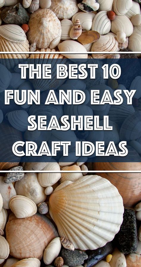 Here are ten fun and easy seashell projects to inspire you! Are you ready to DIY? Seashell Magnets, Shell Craft Ideas, Seashell Coasters, Seashell Mirrors, Seashell Photo, Beachy Christmas Decor, Scallop Shell Craft, Beach Crafts Diy, Seashell Art Diy