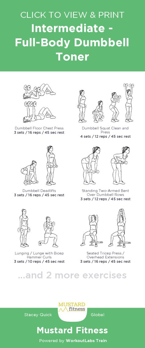 Home Whole Body Workout, Arm And Leg Dumbell Workout, Basic Weights Workout, Free Weights Full Body Workout, Full Body Arm Workout, Db Total Body Workout, Arms Free Weight Workout, Full Lower Body Dumbbell Workout, Chest Workout Women At Home Dumbbells