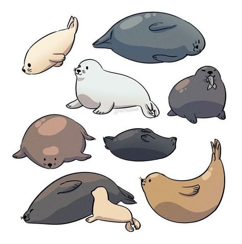 I wanna touch a seal so bad 🥺🖤🦭🙌🏼 I love seals ☺️ Sea Lion Art, Funny Seals, Seal Cartoon, Sea Creatures Art, Lion Drawing, Cute Seals, A Seal, Puppies And Kitties, Silly Animals