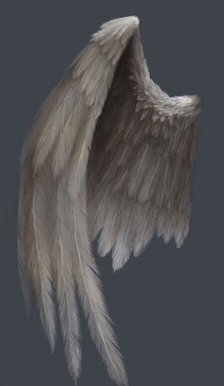 Angel Wing Artwork, Angel Wings Painting, Angel Wings Drawing, Angel Wings Art, Wings Drawing, Angel Wings Tattoo, Angel Artwork, Angel Drawing, Ange Demon