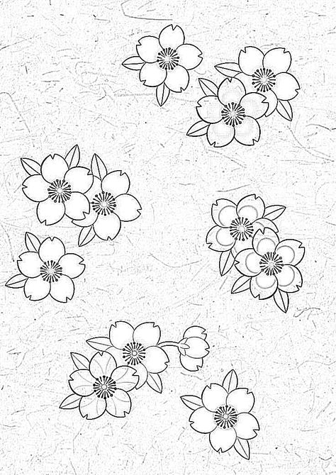 Japanese Traditional Tattoo Stencil, Japanese Traditional Tattoo Flowers, Japan Flowers Tattoo, How To Draw Sakura, Sakura Japanese Tattoo, Japanese Flower Tattoo Stencil, Cherry Blossom Petals Tattoo, Sakura Flower Tattoo Design, Horimono Tattoos