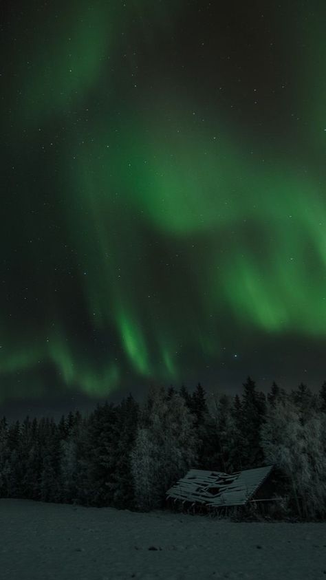 Green northern lights - darkened. Green Northern Lights, Start Screen, Aurora Borealis, Northern Lights, Aurora, Taylor Swift, Swift, Natural Landmarks, Green