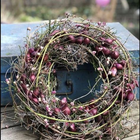 Martina 🌿 (@tvorilci_inspo) • Instagram photos and videos Couronne Diy, Creative Wreaths, Diy Spring Wreath, Fleurs Diy, Natural Wreath, Deco Floral, Bulb Flowers, Spring Diy, Arte Floral