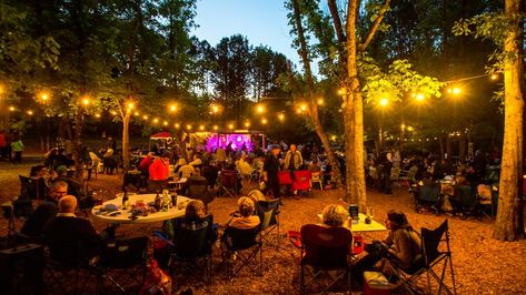 Matilda’s brings intimate, outdoor concerts to Milton Outdoor Concert Decorations, Parking Lot Party, House Concert, Future Concert, Jazz Concert, Outdoor Music, Concert Venue, Architecture Ideas, Outdoor Concert