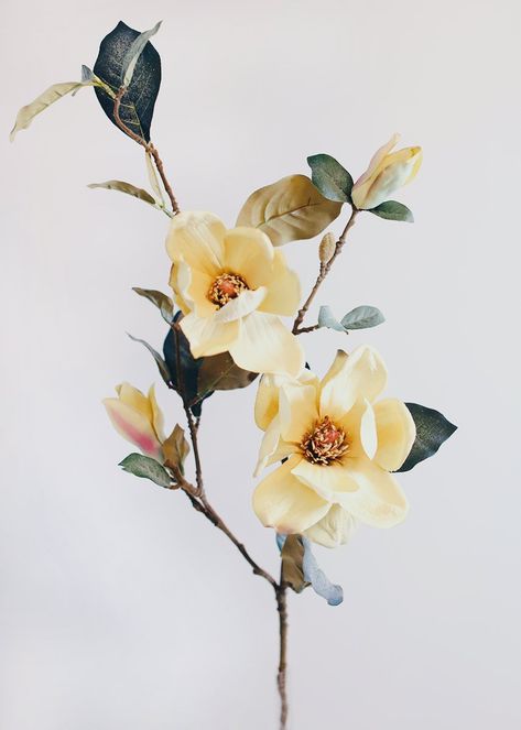 Realism Reference, Tall Vase Arrangements, Yellow Magnolia, Artificial Magnolia, Daily Illustration, Artificial Wedding Flowers, Magnolia Branch, Artificial Flowers Wedding, Silk Flowers Wedding