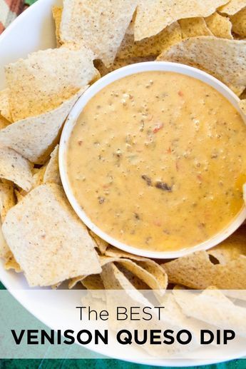 Venison Queso Dip, Venison Queso, Best Queso Recipe, Venison Burgers, Deer Recipes, Ground Venison, Game Day Party, Queso Recipe, Deer Meat Recipes