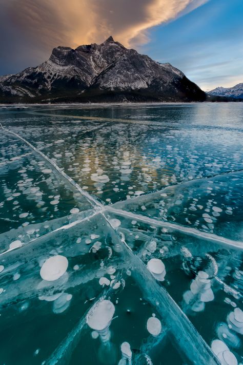 Who doesn’t love the Ice Bubbles on Abraham Lake in Alberta Canada? Browse my Full Canadian Winter Landscape Gallery on my brand new print store! I don’t remember the first time I saw a photo of the methane bubbles on Abraham Lake, but I remember finding them so interesting that I had to make a […] Methane Bubbles, Ice Bubbles, Methane Gas, Ice Bubble, Frozen Bubbles, Abraham Lake, Breathtaking Photography, Canadian Winter, Lake Trip