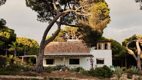 Inside designer Carolina Irving's Portuguese house Corner Wood Stove, Portuguese House, Carolina Irving, House With Land, Laying Decking, Built In Banquette, Travel Tops, House By The Sea, Interiors Online