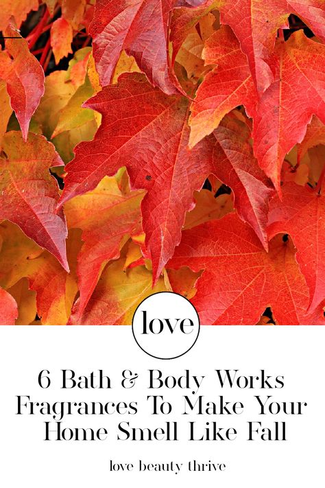 6 Best 'Bath & Body Works' Fragrances To Make Your Home Smell Like Fall | Love Beauty Thrive | www.lovebeautythrive.com | Crisp air, fallen leaves, our favourite season. Fall fragrances will turn your house into the coziest home. Get ready for all things autumn with candles, wallflowers, and more in our top favourite crisp and cozy scents. | #fall #autumn #homefragrance #fallcandles #fallfragrances #bathandbodyworks #candles #wallflowers Bathandbodyworks Candles, Home Smell Like Fall, Cozy Scents, Smell Like Fall, Favourite Season, Home Smell, Fall Fragrance, Crisp Air, Fallen Leaves