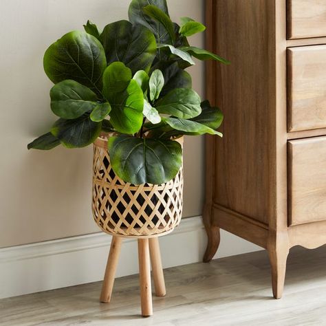 Natalie Place, Reception Waiting, Bamboo Planter, Tall Plant Stands, Boho Inspo, House Keeping, Garden Plant Pots, Garden Wallpaper, Pot Stand