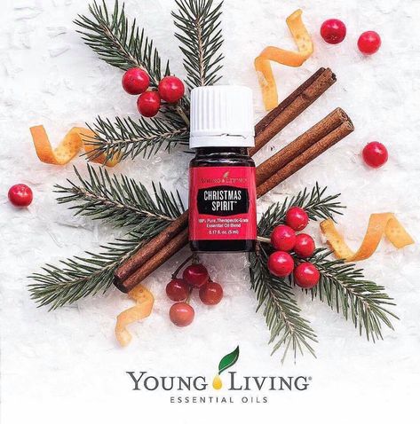 BRING ON THE CHRISTMAS SPIRIT!!! Young Living Christmas Spirit, Christmas Spirit Essential Oil, Christmas Diffuser Blends, Helichrysum Essential Oil, Living Essentials Oils, Cinnamon Bark, Living Essentials, Oil Color, Young Living Oils