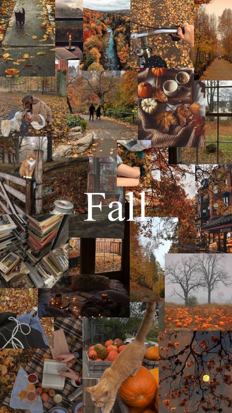 Fall Asthetic Photos Wallpaper, Collage Wallpaper Fall, Autumn Collage Wallpaper, Fall Aethestic, Fall Collage Wallpaper, Cute Fall Backgrounds, Wallpaper Iphone 15, Fall Wallpaper Iphone, Autumn Collage