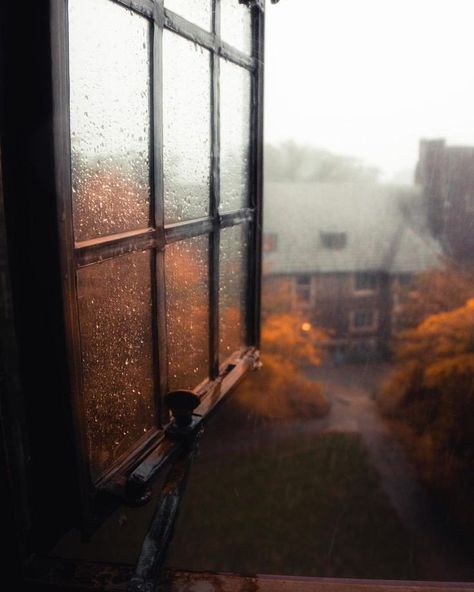 Cozy Aesthetics, Studera Motivation, Cozy Aesthetic, On A Rainy Day, Autumn Scenery, Wallpapers Iphone, Fall Pictures, Open Window, Autumn Cozy