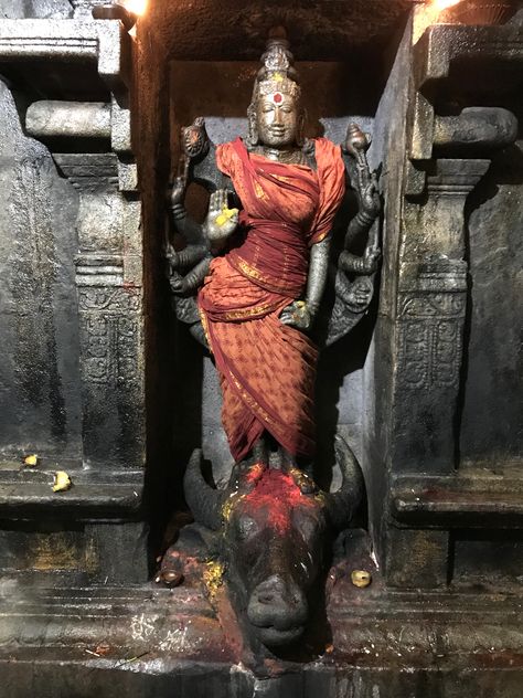 Durgai Amman, Ghost Rider Images, Durga Kali, Aadi Shakti, Shakti Goddess, Indian Sculpture, Buddha Sculpture, Temple Art, Kali Goddess