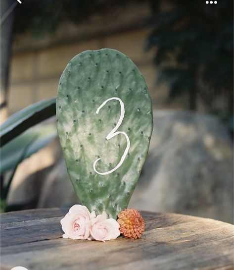 Southwestern Wedding, Cactus Wedding, Southwest Wedding, Fiesta Wedding, Tafel Decor, Boda Mexicana, Succulent Wedding, Mexican Party, Mexican Wedding