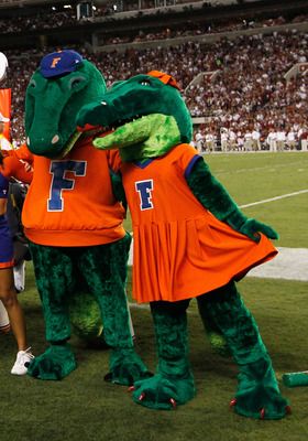 Florida Gators mascots Albert and Alberta. Florida Football, Florida Gators Football, Homecoming Parade, Miami Dolphins Football, Gators Football, Red To Blonde, Dream School, High Schools, Florida Panthers