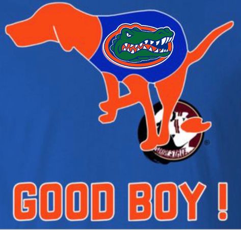 Florida Gator Memes, Florida Gators Quotes, Florida Gators Football, Gators Football, Florida Gator, Clean Memes, Football Art, Florida Gators, Bad Bunny