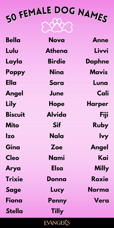 Female Cat Names Unique, Female Pet Names, Best Female Dog Names, Puppy Names Unique, Puppies Names Female, Cute Puppy Names, Dog Names Unique, Nicknames For Girls, Cute Cat Names