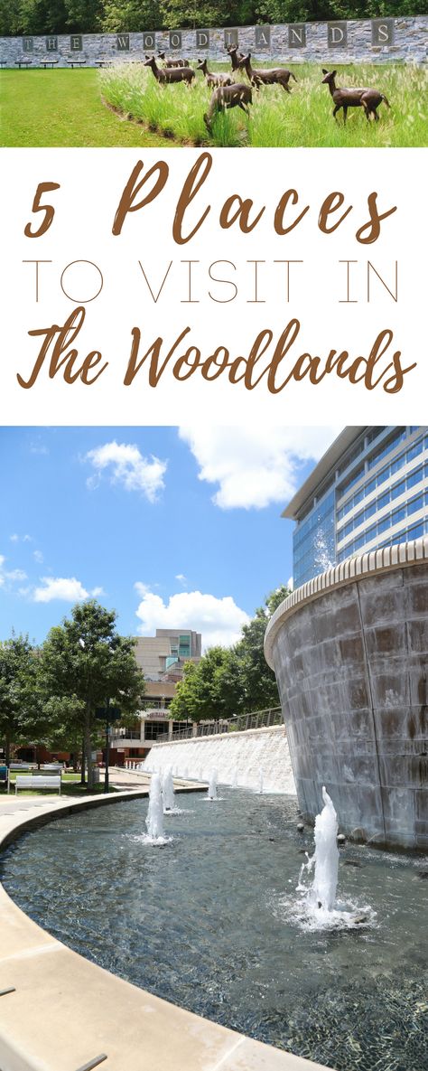 If you plan on visiting the Houston area, here are 5 places to visit in The Woodlands, Texas, a small community on the north side of Houston. #FromHeretoHere Woodlands Houston Texas, Houston Staycation, Houston Spots, Houston Trip, Texas Getaways, Houston Travel, Visit Houston, The Woodlands Texas, Texas Life