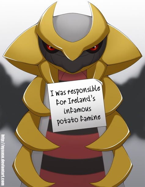 Pokemon Shaming, Pokemon Unite, Wholesome Pokemon Comics, Pokemon Tumblr Funny, Pokemon Shaming Funny, Black Cat Anime, Pokemon Memes Funny, Pokemon Go Memes Humor, Good Anime To Watch