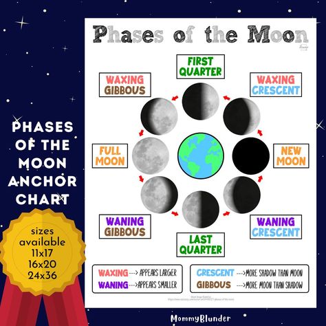 Phases Of The Moon Anchor Chart, Moon Phases Anchor Chart, Moon Chart, Outer Space Theme, Homeschool Life, Space Theme, Science Fair, Homeschool Mom, Word Wall