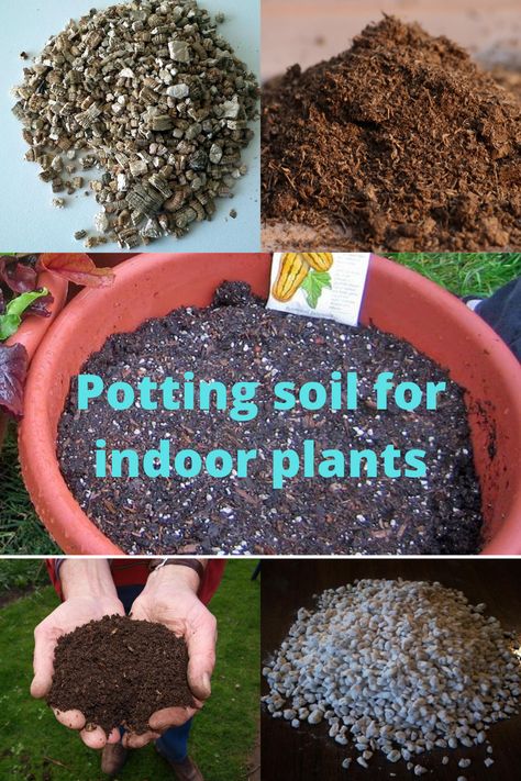 You can save a lot of money on potting soil when you know How to Make Potting Soil For Indoor Plants and do it instead of going shopping. #indoorplants #pottingsoil #pottingmix #containergardening Making Potting Soil, Potting Soil For Indoor Plants, Soil For Indoor Plants, Gothic Garden, Going Shopping, Indoor Flowers, Lots Of Money, A Lot Of Money, Country Gardening