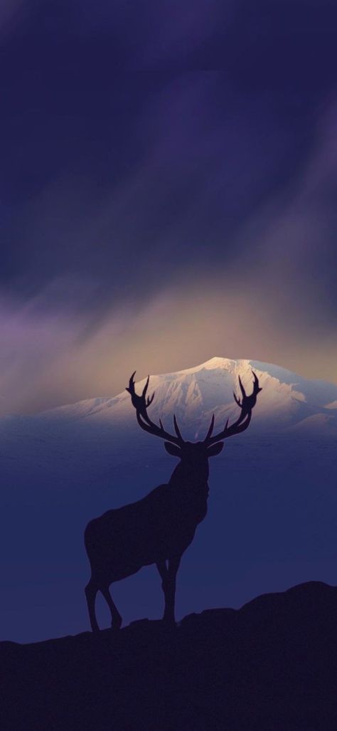 Mountain Deer, Wallpaper Mountain, Deer Wallpaper, Deer