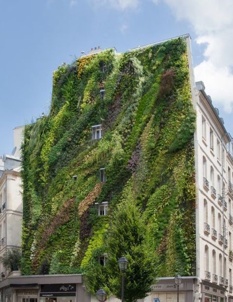 Urban Heat Island, Green Facade, Vertical Farming, City Farm, Vertical Gardens, Urban Nature, Green Architecture, Urban Gardening, Rooftop Garden