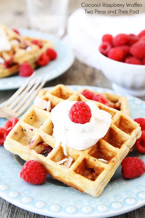 Coconut Raspberry Waffles with Coconut Whipped Cream Recipe on twopeasandtheirpod.com These waffles are amazing! Raspberry Waffles, Coconut Whipped Cream Recipe, Savory Waffle Recipe, Whipped Cream Recipe, Savory Waffles, Recipes With Whipping Cream, Waffle Sandwich, Coconut Whipped Cream, What's For Breakfast