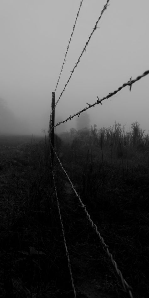 Barbed Wire Fence, Wire Fence, Sculpture Metal, Katniss Everdeen, Barbed Wire, Mockingjay, Black And White Aesthetic, Black Aesthetic Wallpaper, Dark Photography