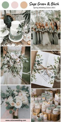 Bridesmaid Dresses Colors, Dresses Colors, Sage Green Wedding Colors, Wedding Color Combos, Sage Green Bridesmaid Dress, Green Wedding Colors, Sage Wedding, Spring Wedding Colors, Sage Green Wedding