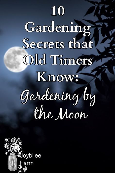 Witches Garden Design, Moon Garden Ideas Backyards, Moon Garden At Night, Witch Garden Design, Enchanted Garden Backyard, Moon Gardening, Moon Garden Ideas, Gardening By The Moon, Magical Garden Ideas