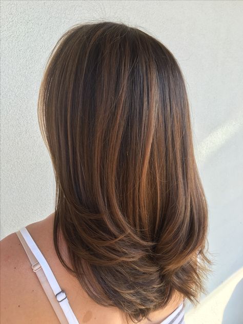 Blair Hair Color, Straight Caramel Balayage, Dark Hair Inspiration Medium, Brunette Partial Highlights Caramel, Full Highlights For Dark Hair Caramel, Midlength Balayage Hair, Sunkissed Bronde Balayage, Caramel Balayage Brunette Straight, Natural Highlights For Brown Hair Straight