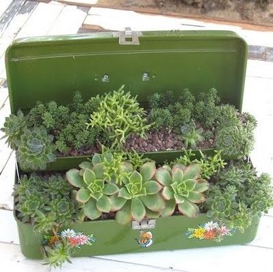 Why throw away the things we used to use when we can reuse it. In many different ways... Repurposed Planter, Beautiful Succulents, Box Garden, Pinterest Garden, Succulent Gardens, Succulents Indoor, Garden Containers, Creative Gardening, Tackle Box